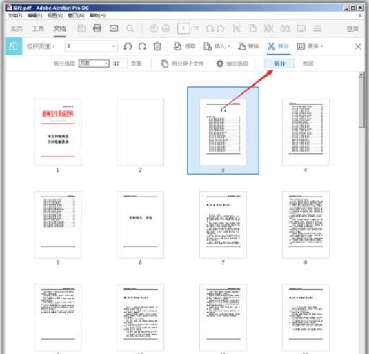 图片[6]-Adobe Acrobat DC 怎么拆分pdf？Adobe Acrobat Reader dc拆分pdf的方法-七木云